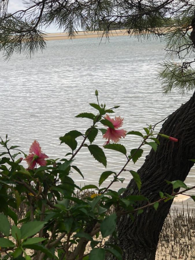 מרוצ'ידור 4Shore@Waterfrontplace מראה חיצוני תמונה